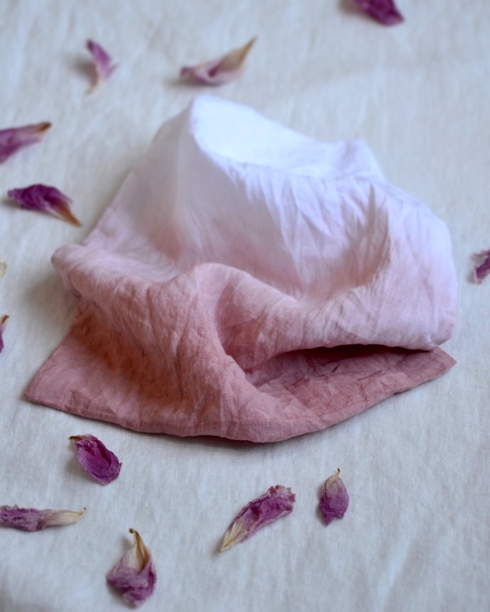 PetitSourireOmbreDye1a