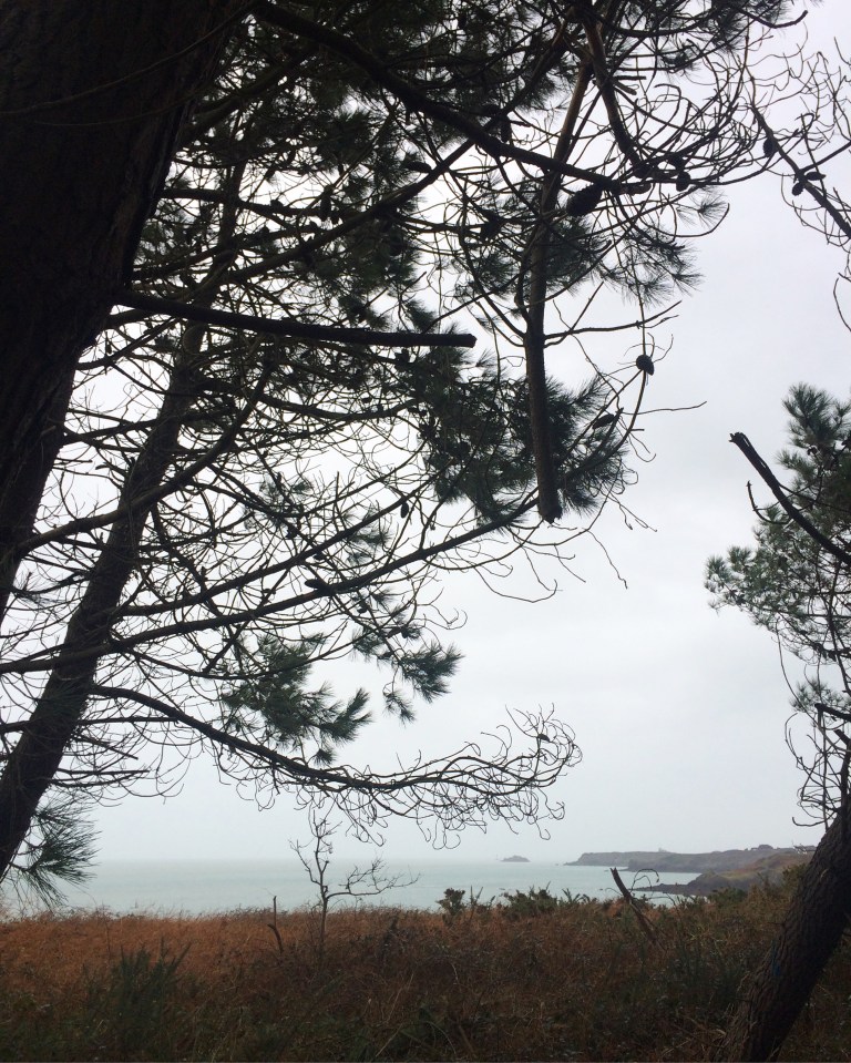 PetitSourire3.Advent-3