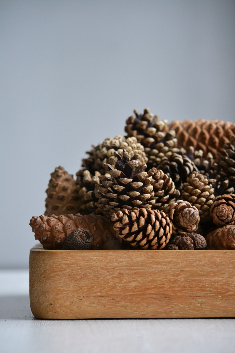 PetitSourirePinecones