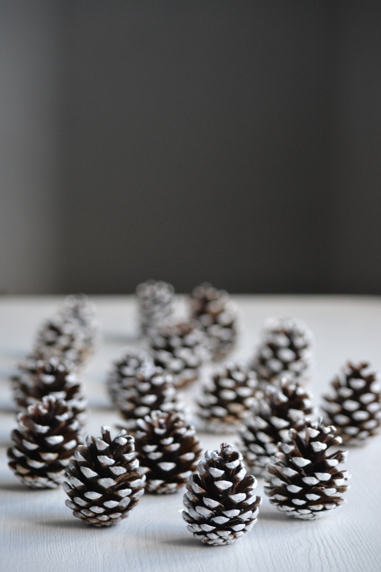 PetitSourirePinecones2