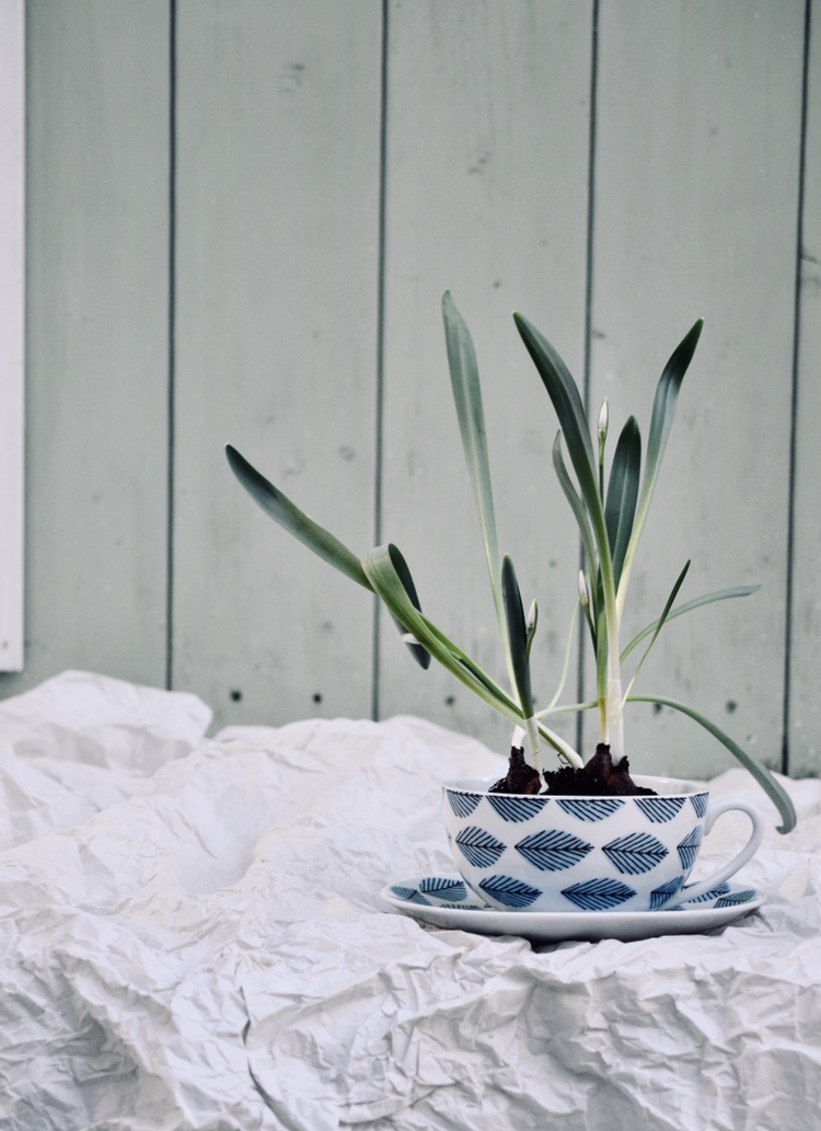 PetitSourireAcupofSpring