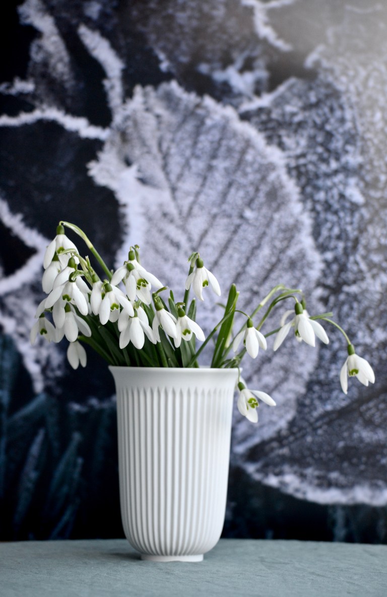 PetitSourireSchneeglöckchen