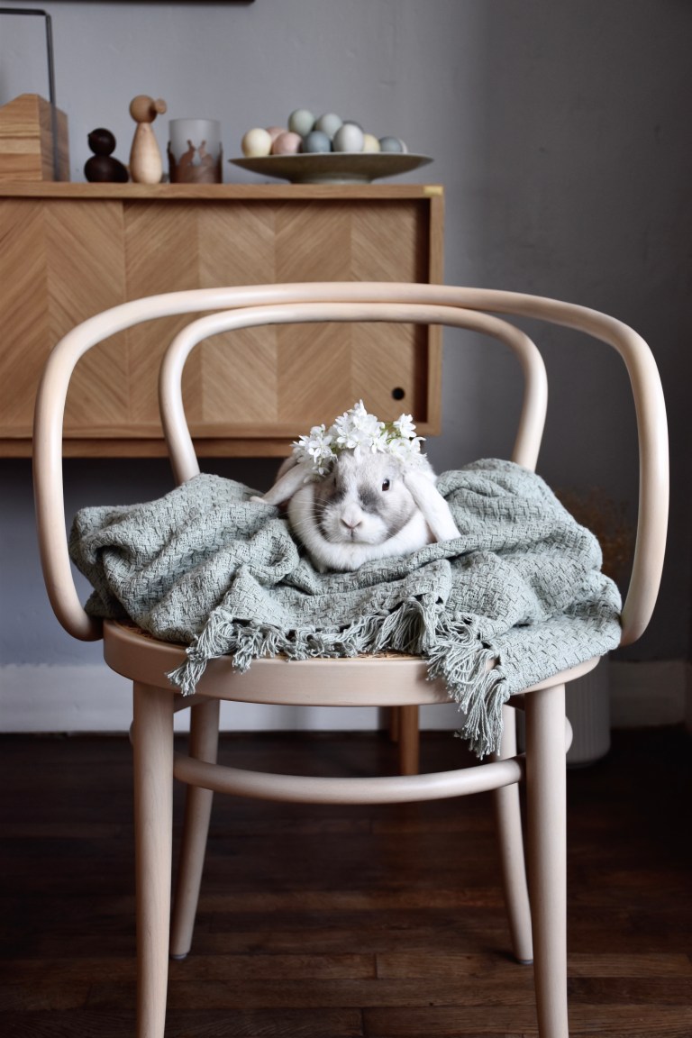 PetitsouriredesignThonetJPG