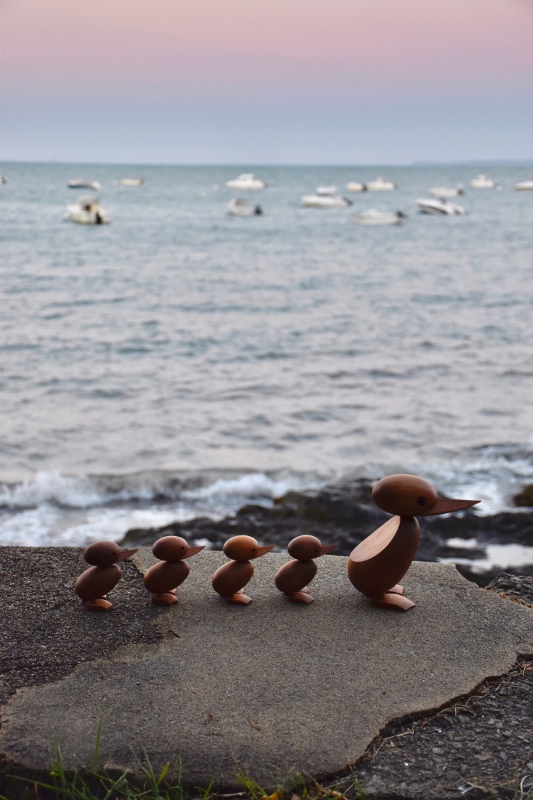 EnteMeerPetitsouriredesign