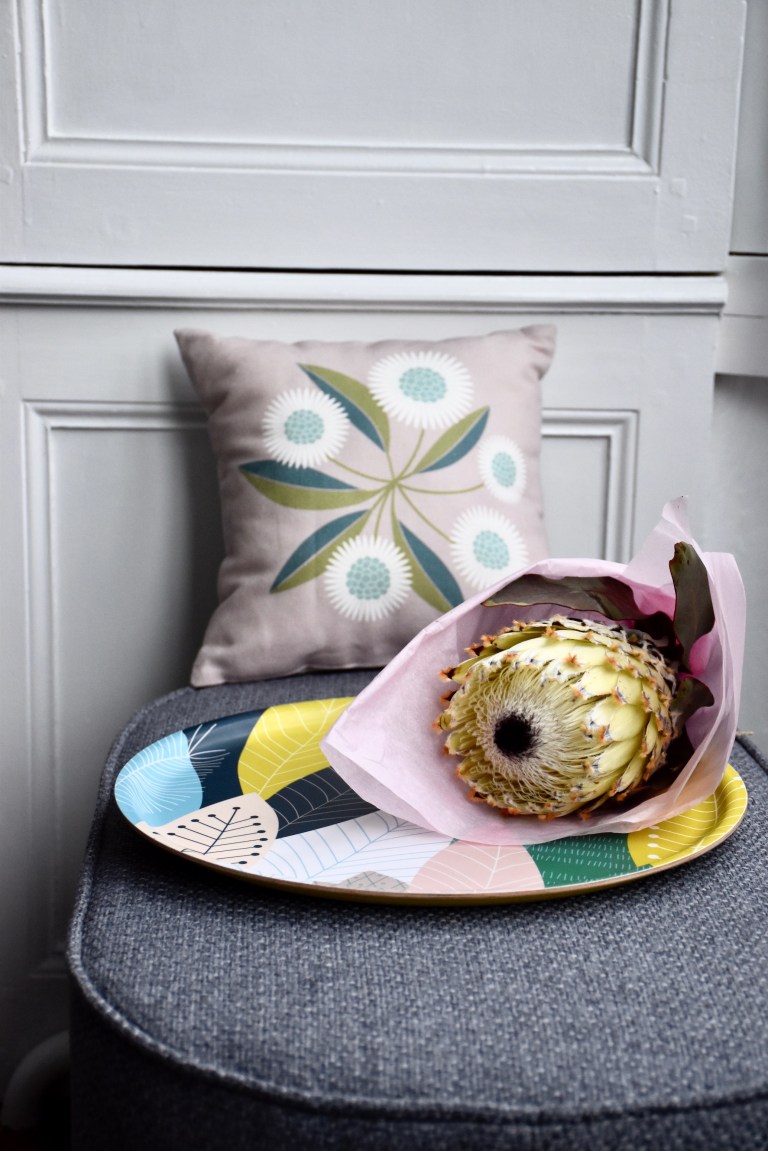 Petitsouriredesign14