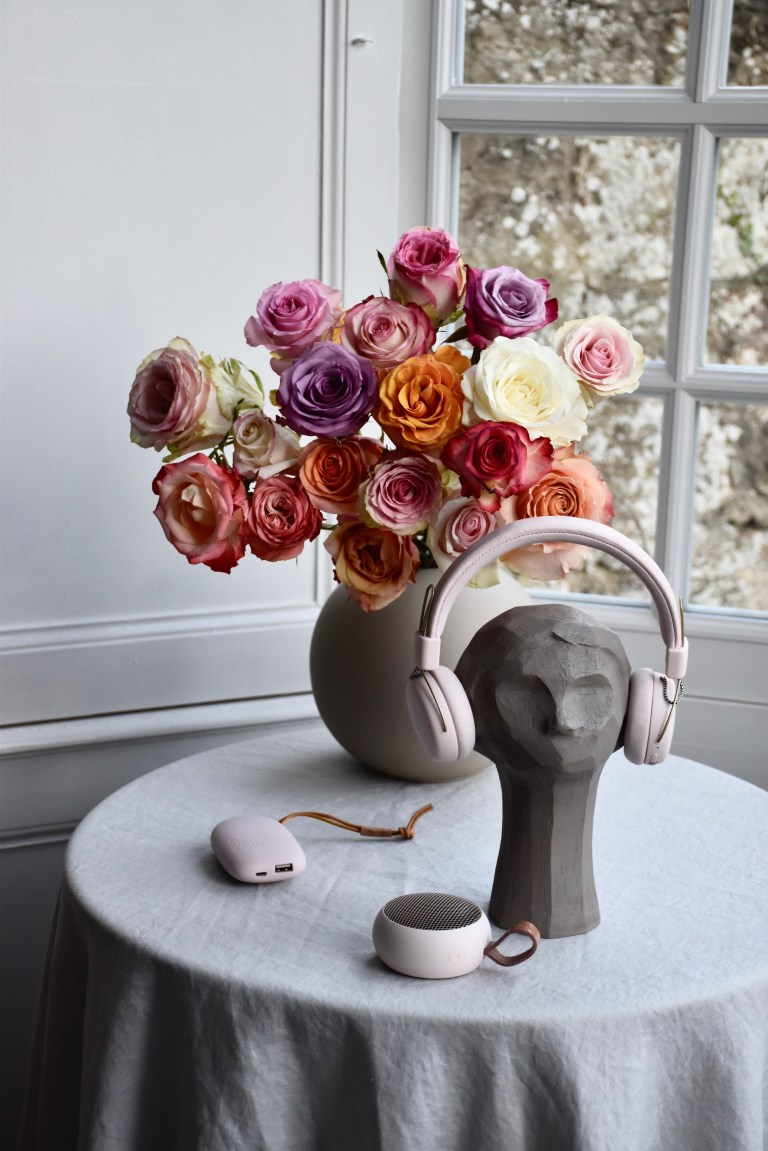 Petitsouriredesign10