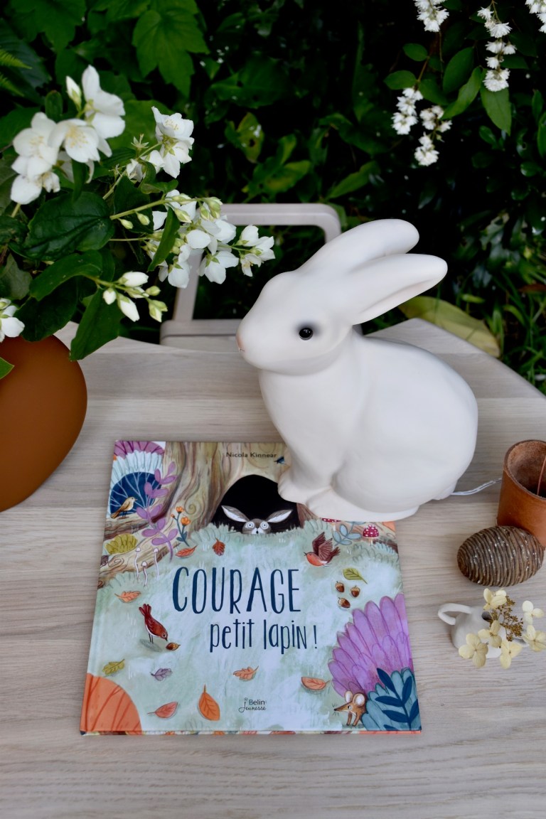 Petitsouriredesign11