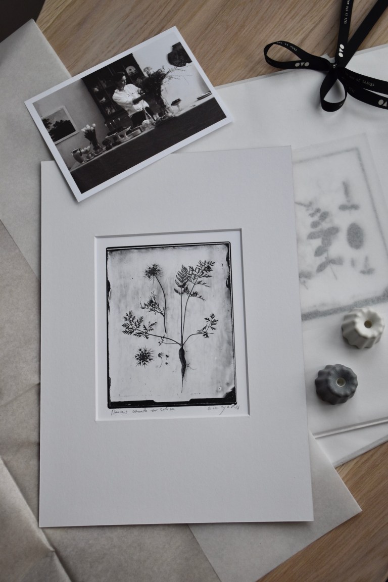 PetitsouriredesignOvo7