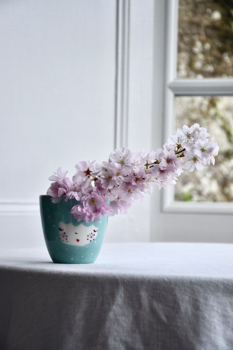 Petitsouriredesign20